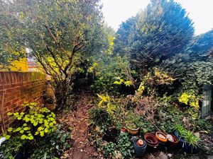 Photo 11- click for photo gallery